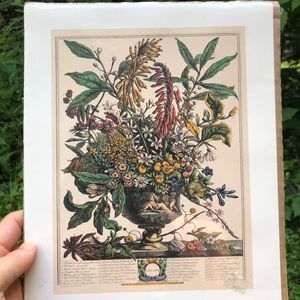 Set of 4 Vintage Arthur Kaplan Flower Prints